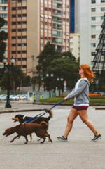 Caminhando com cachorro