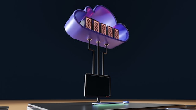 Hosting Provider